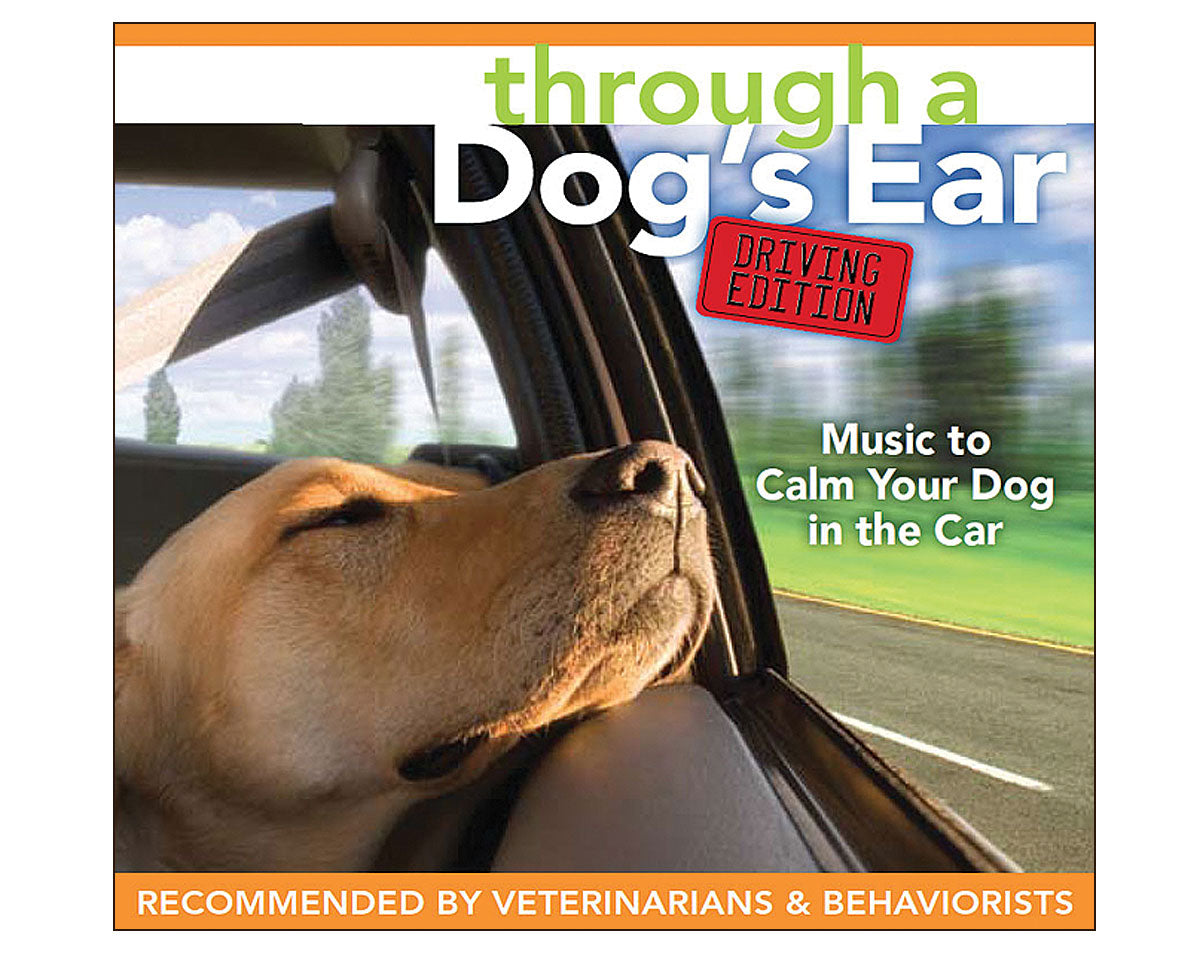 Music for dogs during sales thunderstorms